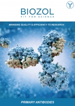 primary-antibodies