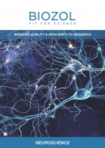 BIOZOL Broschüre 'Neuroscience'