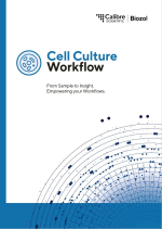 Zellkultur Workflow
