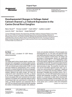 Developmental-Changes-in-Voltage-Gated