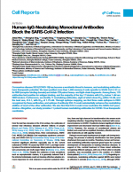 Human-IgG-Neutralizing-Monoclonal