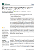 Zoledronate/Anti-VEGF Neutralizing Antibody Combination Administration Increases Osteal Macrophages in a Murine Model of MRONJ Stage 0-like Lesions