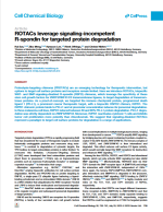 ROTACs leverage signaling-incompetent R-spondin for targeted protein degradation