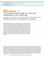 viruses-and-nanoparticles