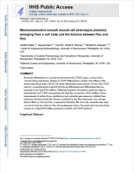 Mechanosensitive smooth muscle cell phenotypic plasticity emerging from a null state and the balance between Rac and Rho