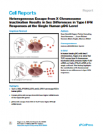 Type-I-IFN-Responses