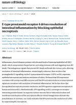 E-type-prostanoid-receptor