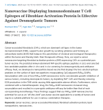 Nanovaccine Displaying Immunodominant T Cell Epitopes of Fibroblast Activation Protein Is Effective Against Desmoplastic Tumors