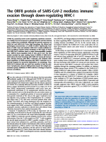 The ORF8 protein of SARS-CoV-2 mediates immune evasion through down-regulating MHC-Ι