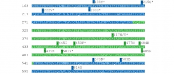 SARS-CoV-2 Mutationen