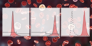 Zytometrische Bestimmung phagozytischer Aktivität