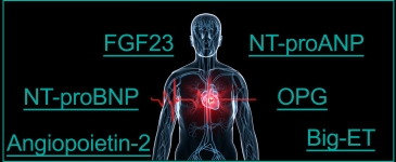 Kardiovaskuläre Biomarker