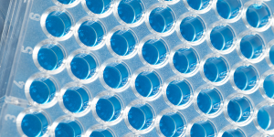 Beschichtete 96 Well-Mikrotiterplatten für Immunassays