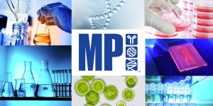 mp