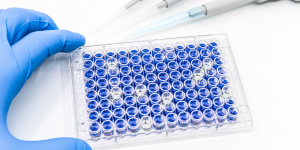 Preissenkung bei ELISA-Kits