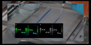 jb-elite-agarose