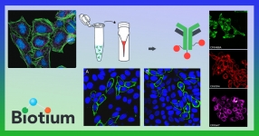 biotium-mix-n-stain