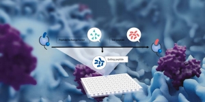 QuickSwitch™ Peptid-Screening-Kits von MBL