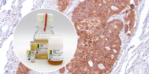 Histoprime Blocking-Serum für die IHC