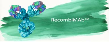 RecombiMAb