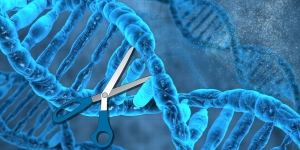 crispr-cas9