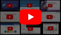 webinar-section