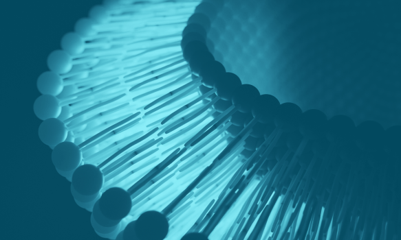 Lipid Nanoparticles