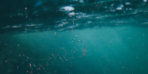 Mikroplastik, Makroproblem
