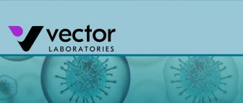 vector-lectins