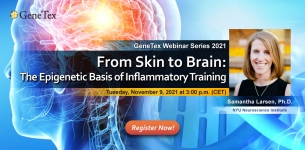 GeneTex Webinar Entzündungstraining