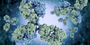 Absolute Antibody Live Webinar: Vergleich der Durchführbarkeit bispezifischer Antikörperformate