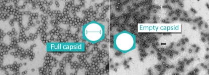 Vigene-AAV-Reference-Capsids