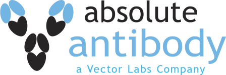 Absolute Antibody Logo Absolute Antibody