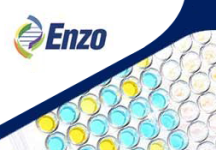 Enzo Life Sciences