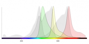 Fluorescence Spectra Viewer