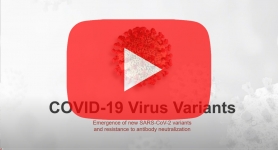 signalchem-sars-cov-2-variants