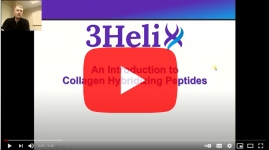 3Helix-collagen-hybridizing-peptides