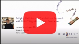 active-motif-pixul-sonication
