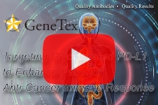 genetex-pd-l1