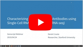 characterizing-b-cells