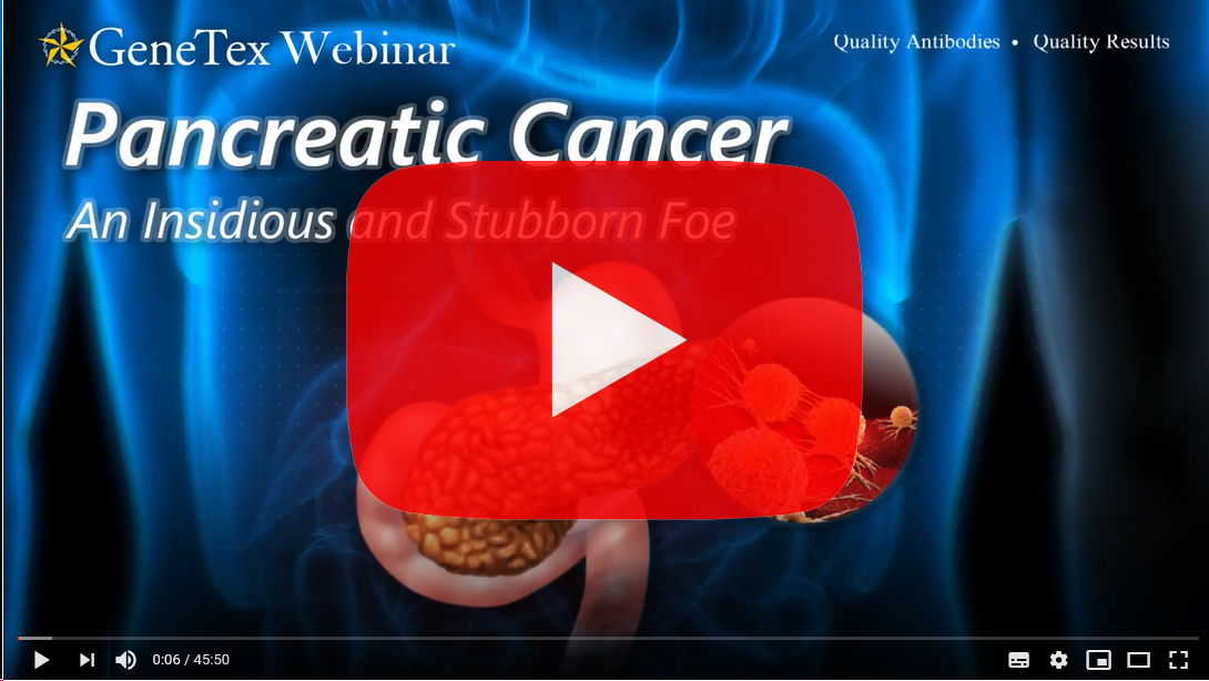 genetex-pancreatic-cancer